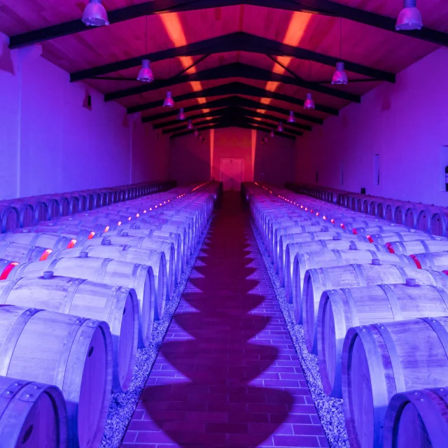 Chateau Lamothe Bergeron