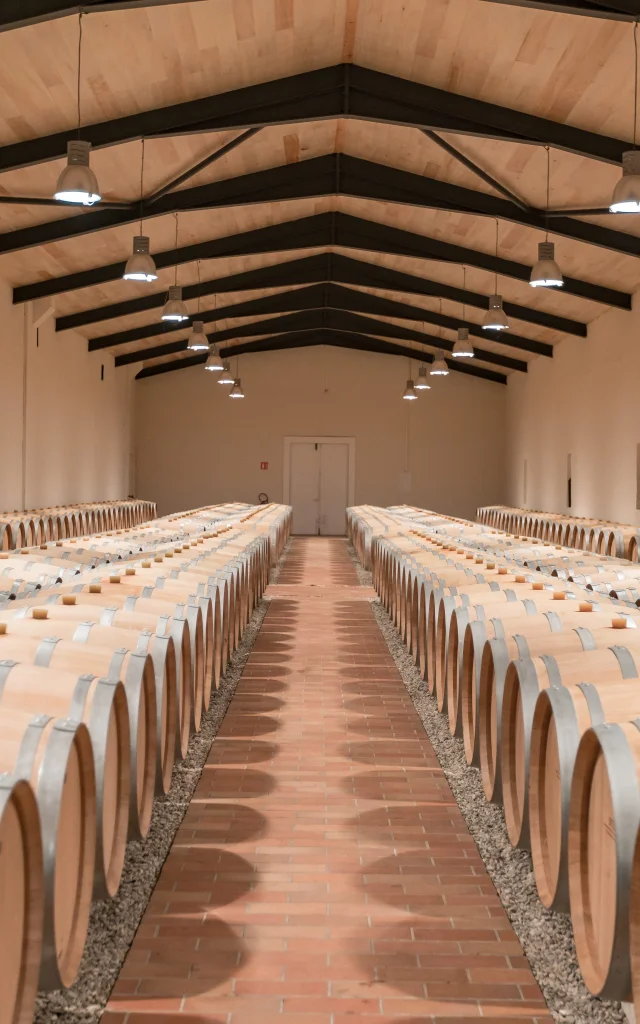 Chateau Lamothe Bergeron