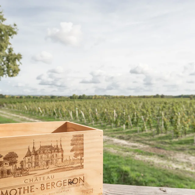 Chateau Lamothe Bergeron