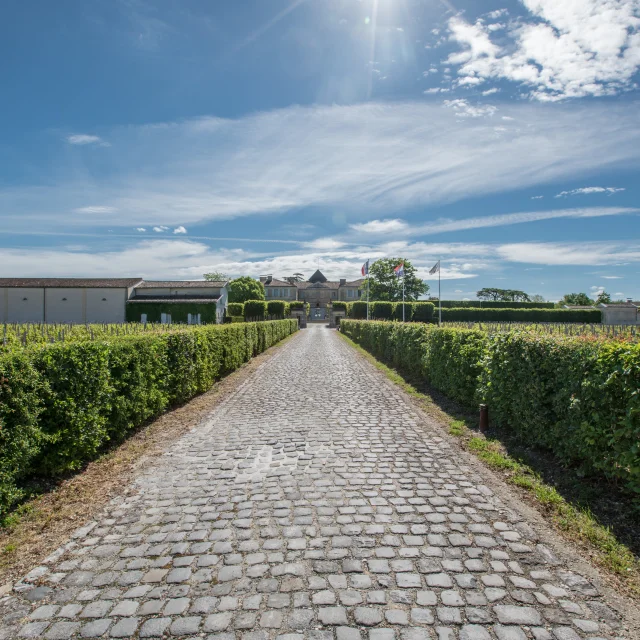 Chateau Du Tertre