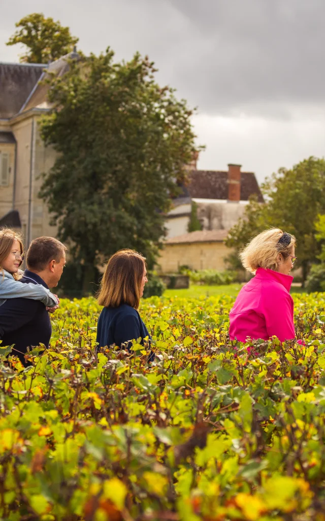 Margaux Médoc Tourismus von David Herbreteau