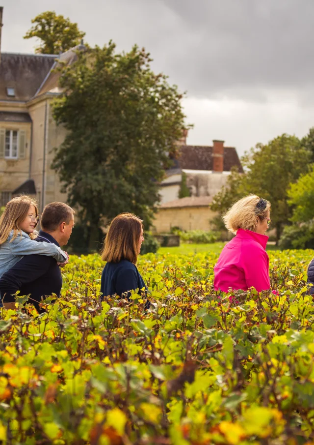Margaux Médoc Tourismus von David Herbreteau