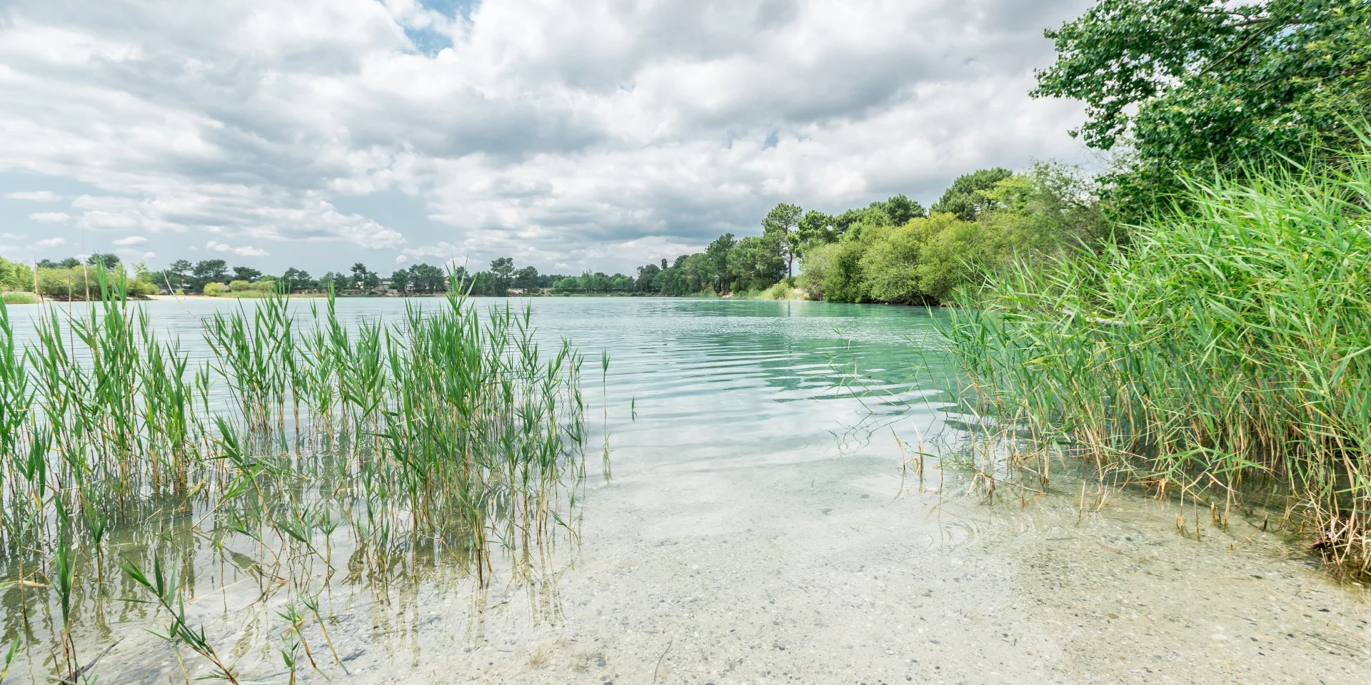 Les Marais de Ludon-Médoc
