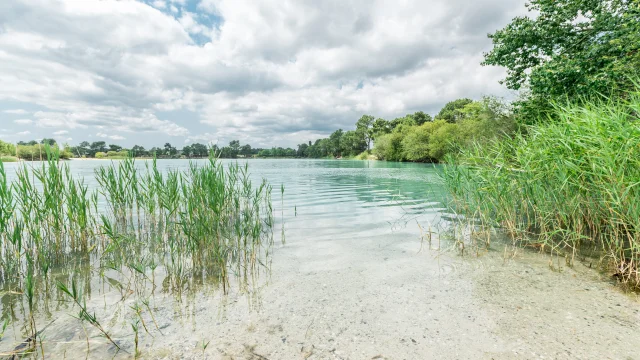 Les Marais de Ludon-Médoc