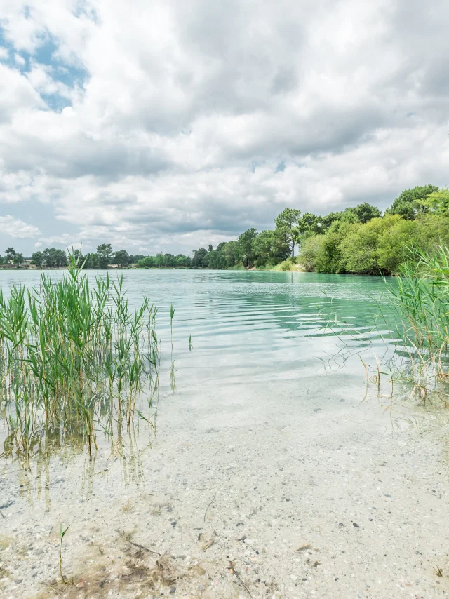 Les Marais de Ludon-Médoc