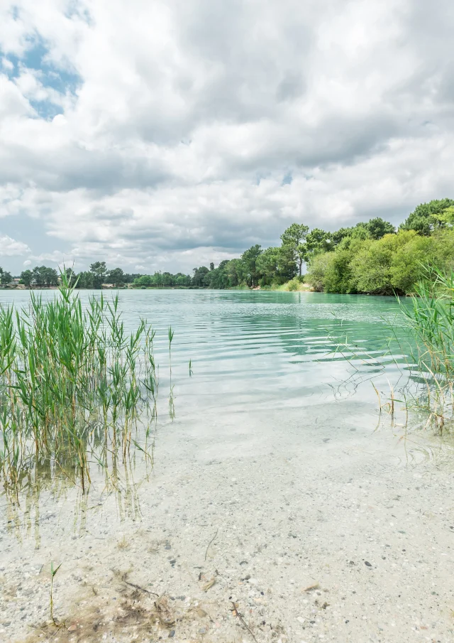 Les Marais de Ludon-Médoc
