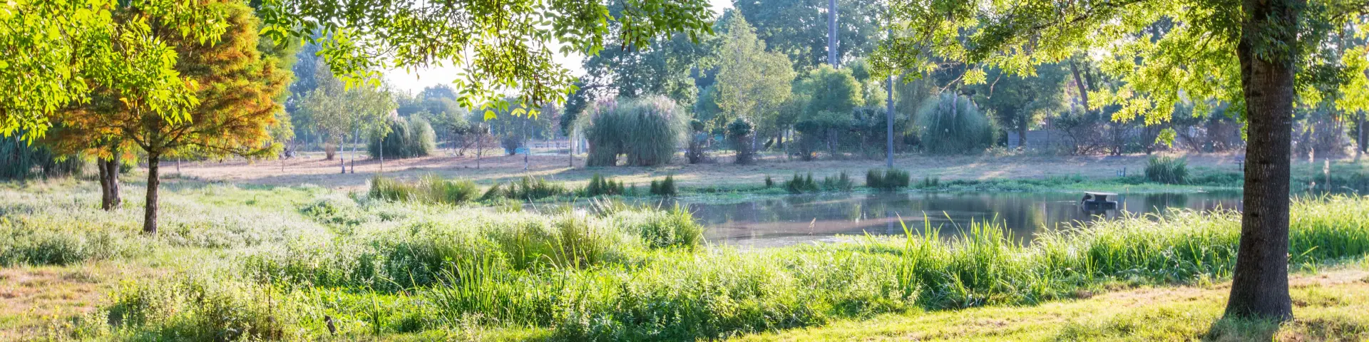 Paysages naturels du Médoc