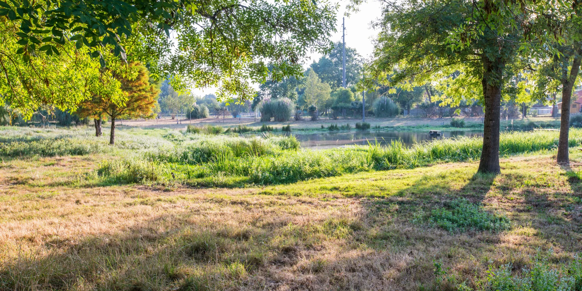 Natural landscapes of the Médoc
