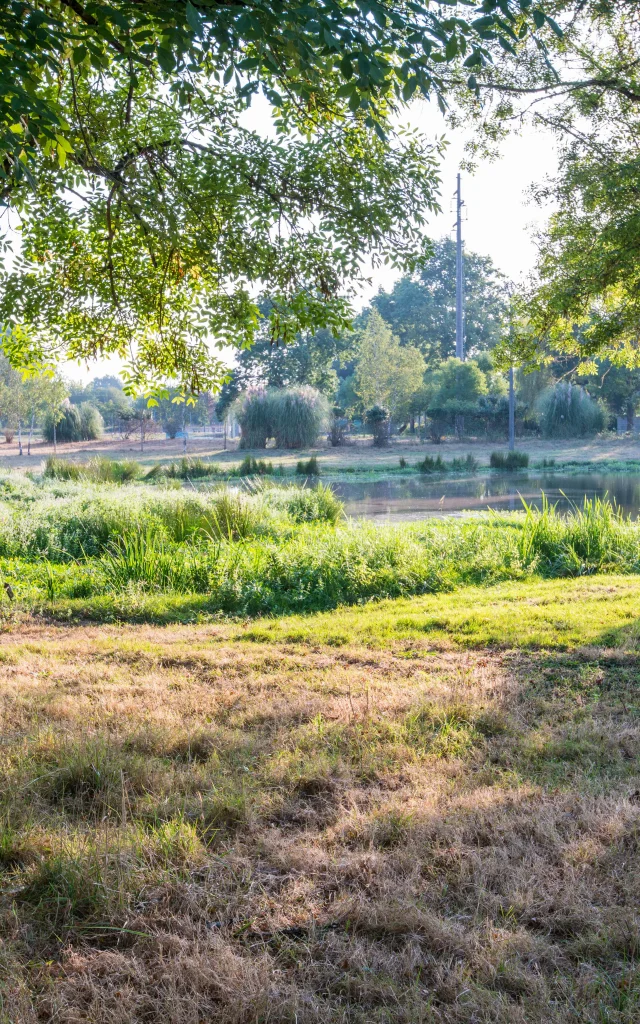 Paysages naturels du Médoc