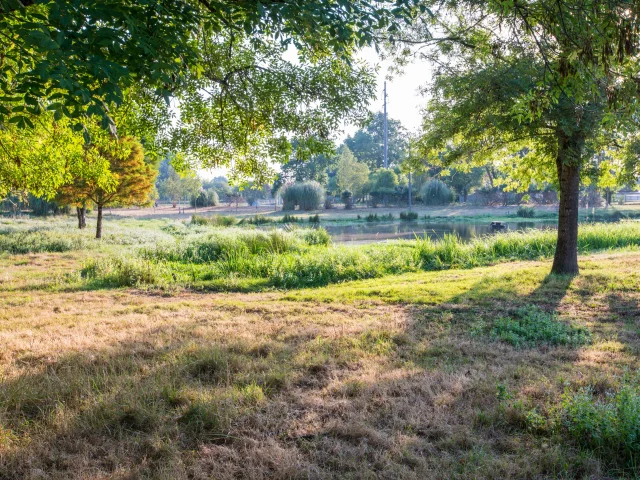 Natural landscapes of the Médoc