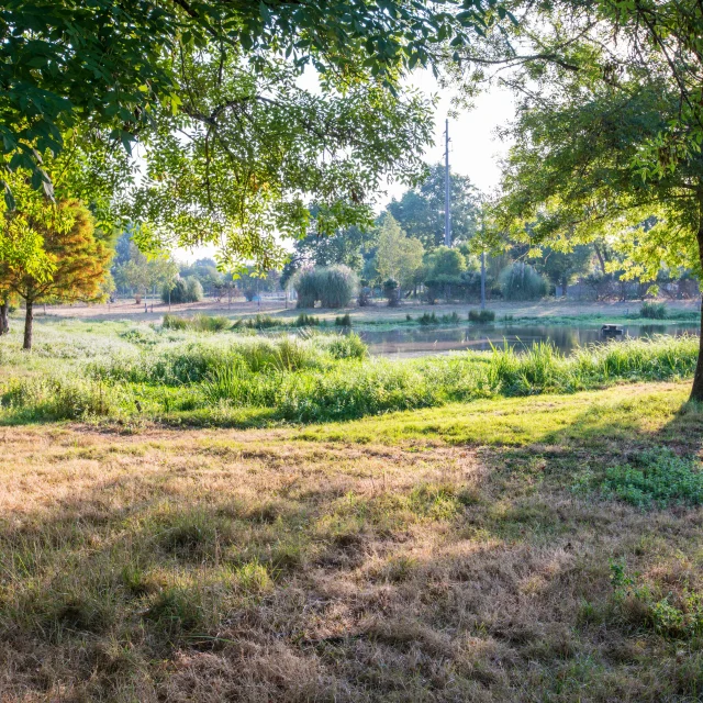 Paysages naturels du Médoc