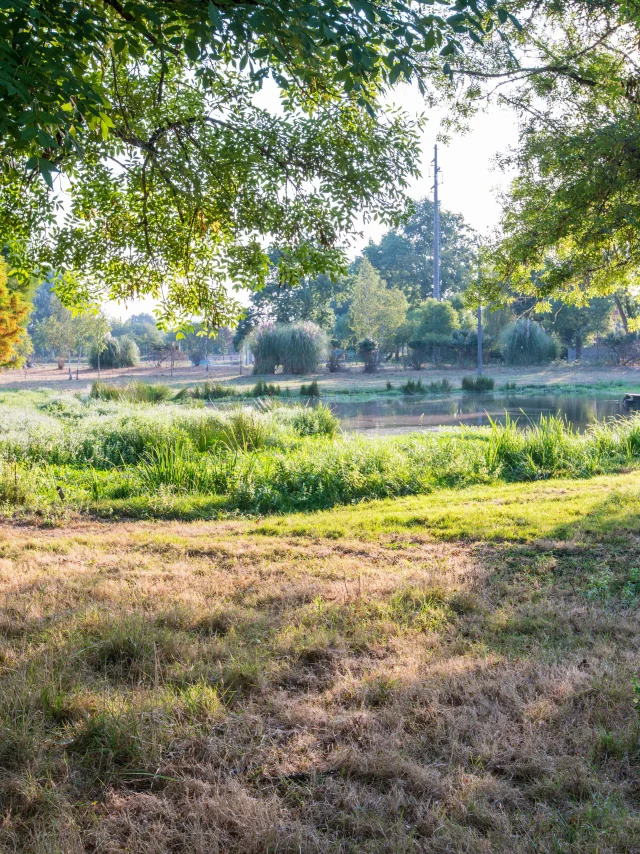 Paysages naturels du Médoc