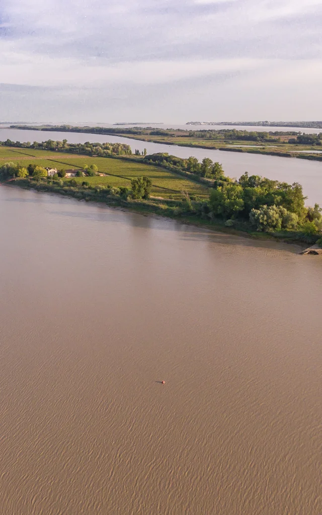 Vue drone de l'estuaire
