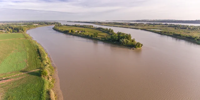 Drone view of the estuary