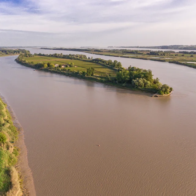 Drone view of the estuary