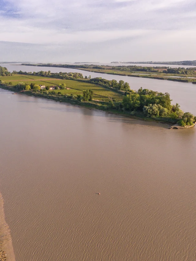 Drone view of the estuary