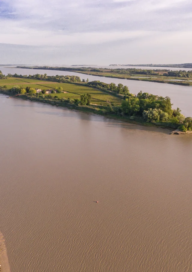 Vue drone de l'estuaire