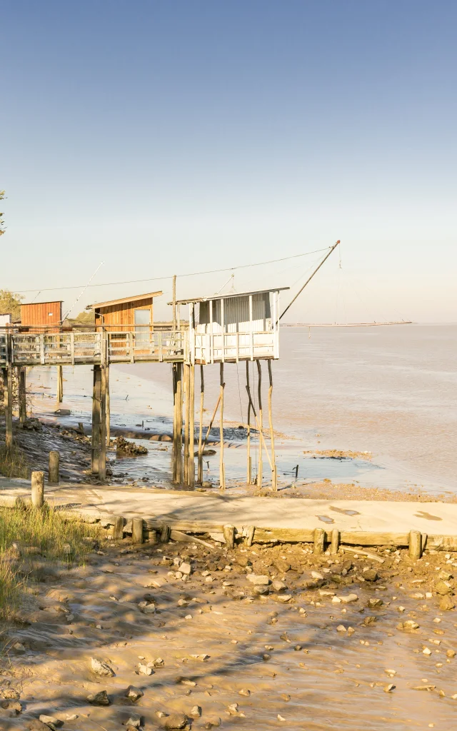 Carrelets