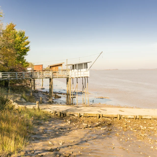 Carrelets
