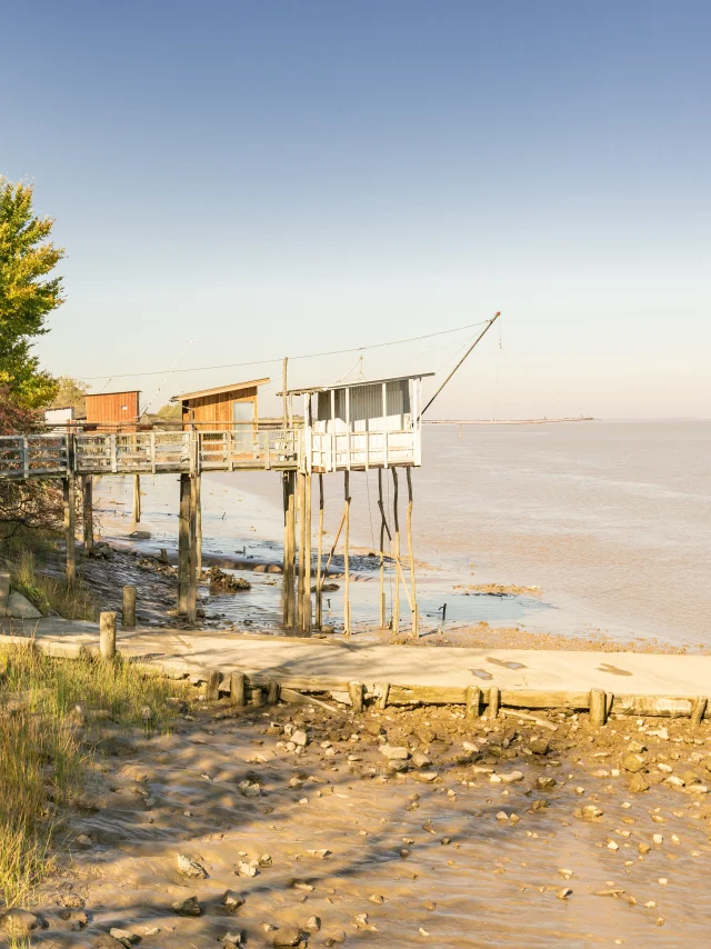 Carrelets