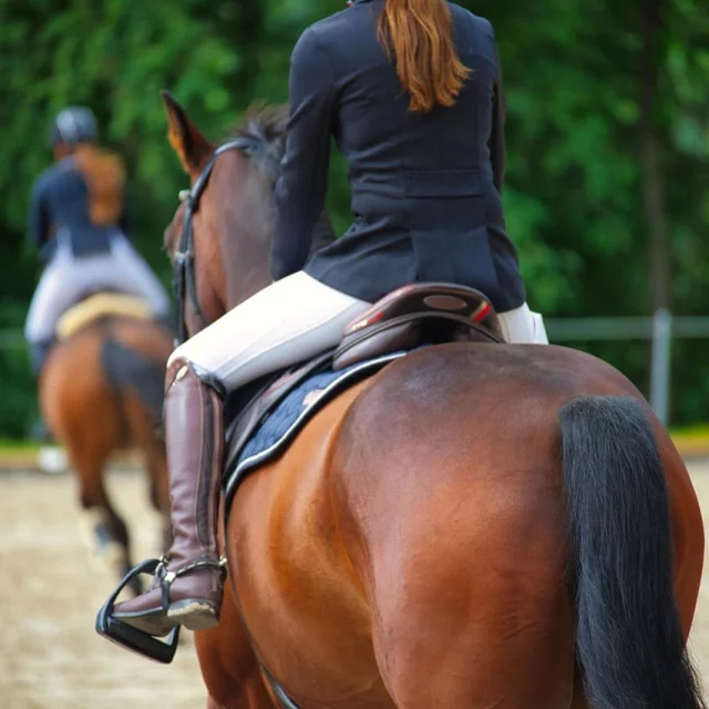 Equitation Poney Club