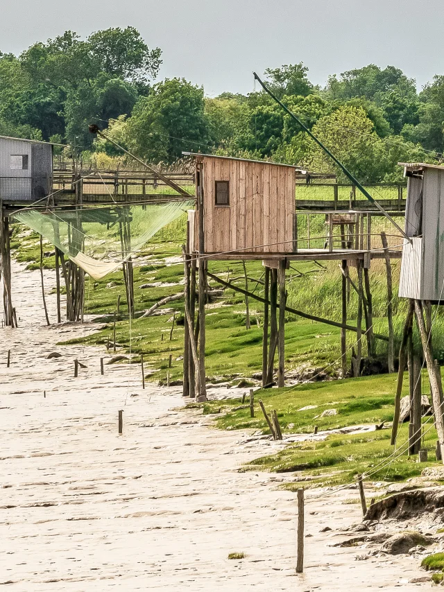 Carrelets