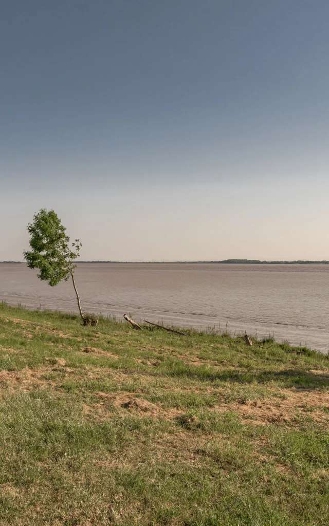 La biodiversité au Fort-Médoc