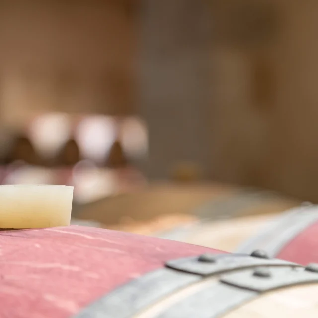 Vins du Médoc au Château Kirwan