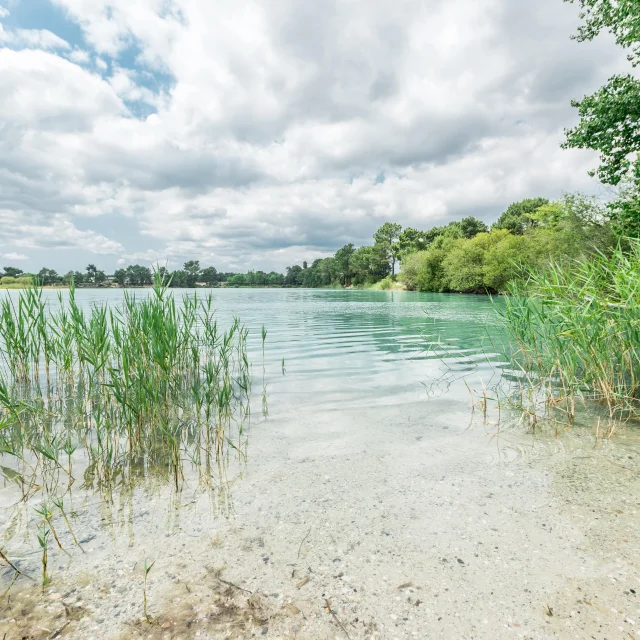 Les Marais de Ludon-Médoc
