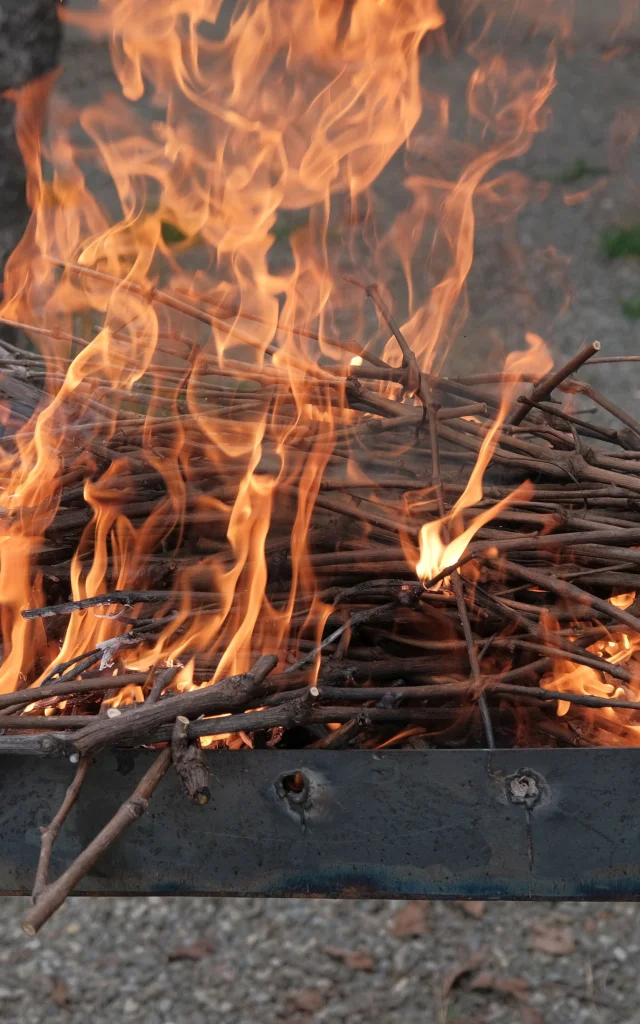 Barbecued buckwheat