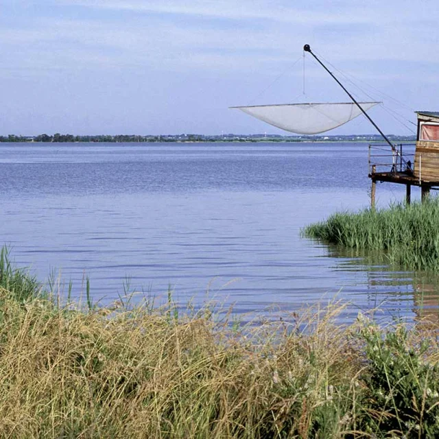Estuaire