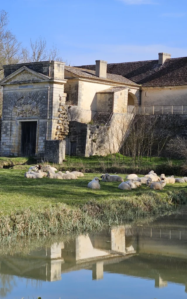 Fort Medoc