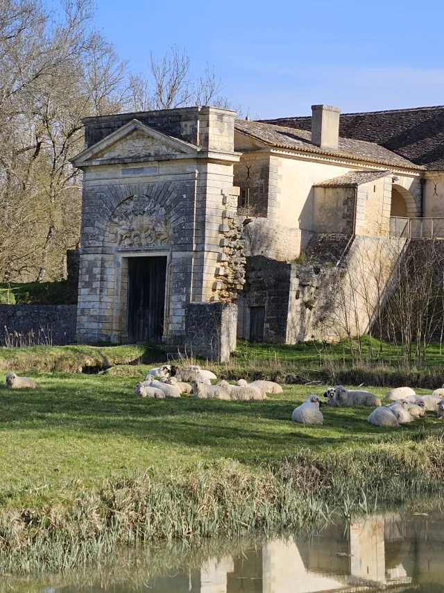 Fort Medoc