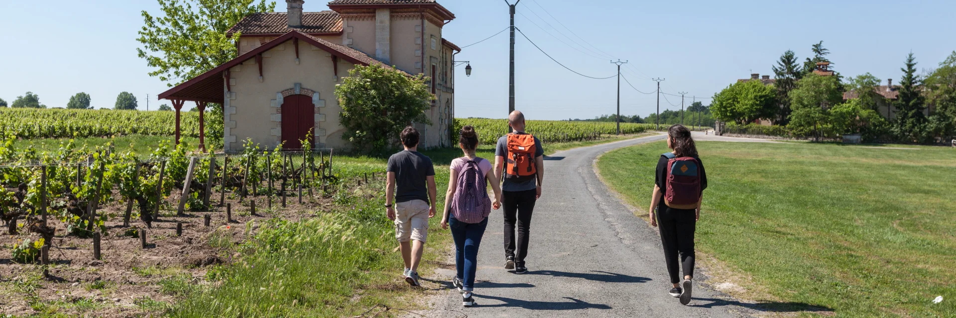 Boucle De Pins Et Mare De Labarde