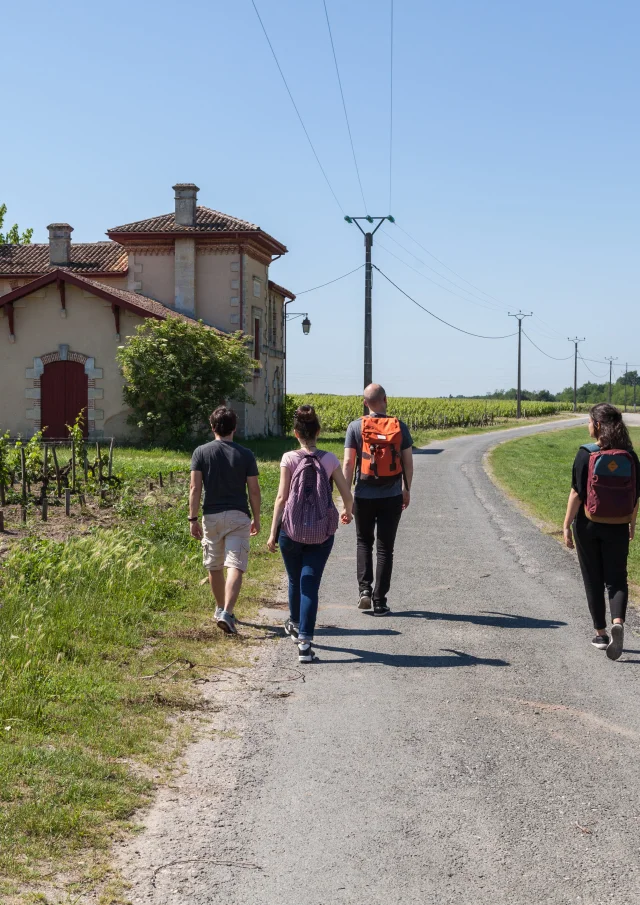 Boucle De Pins Et Mare De Labarde