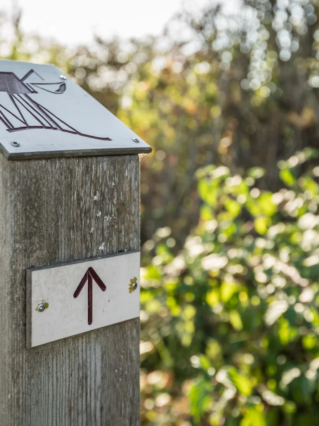 Signalétique Carrelets