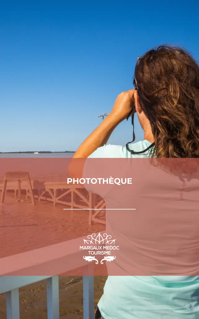 Phototheque