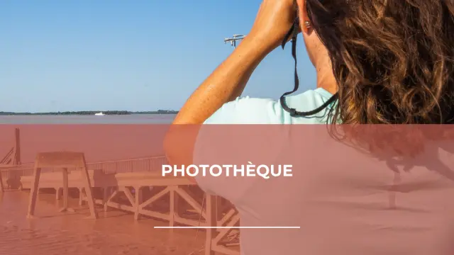 Phototheque