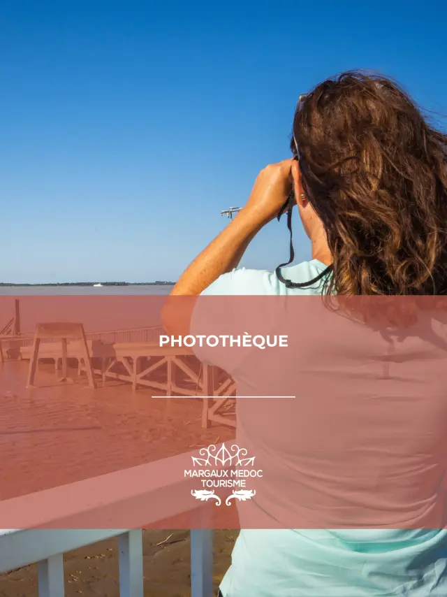 Phototheque