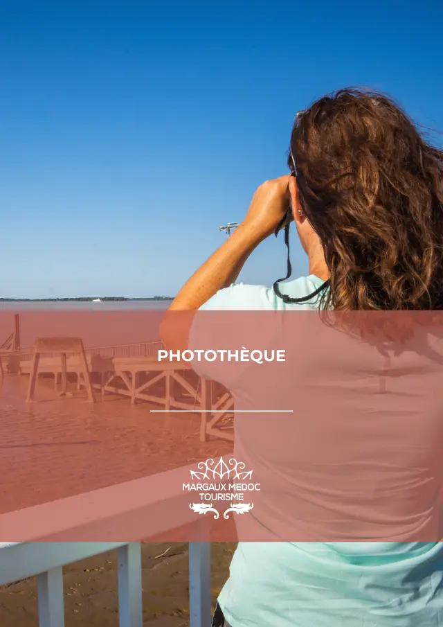 Phototheque
