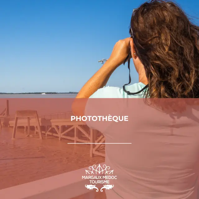 Phototheque