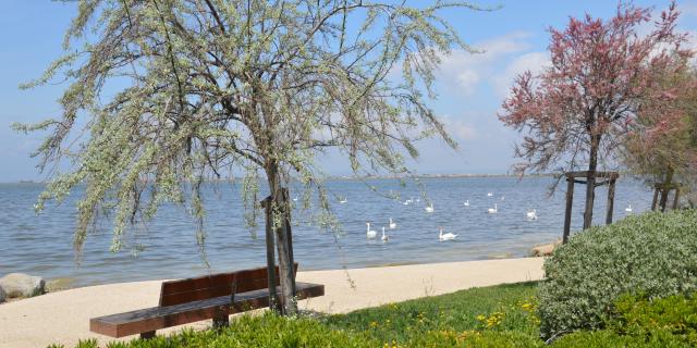 Balade Des Familles (1)