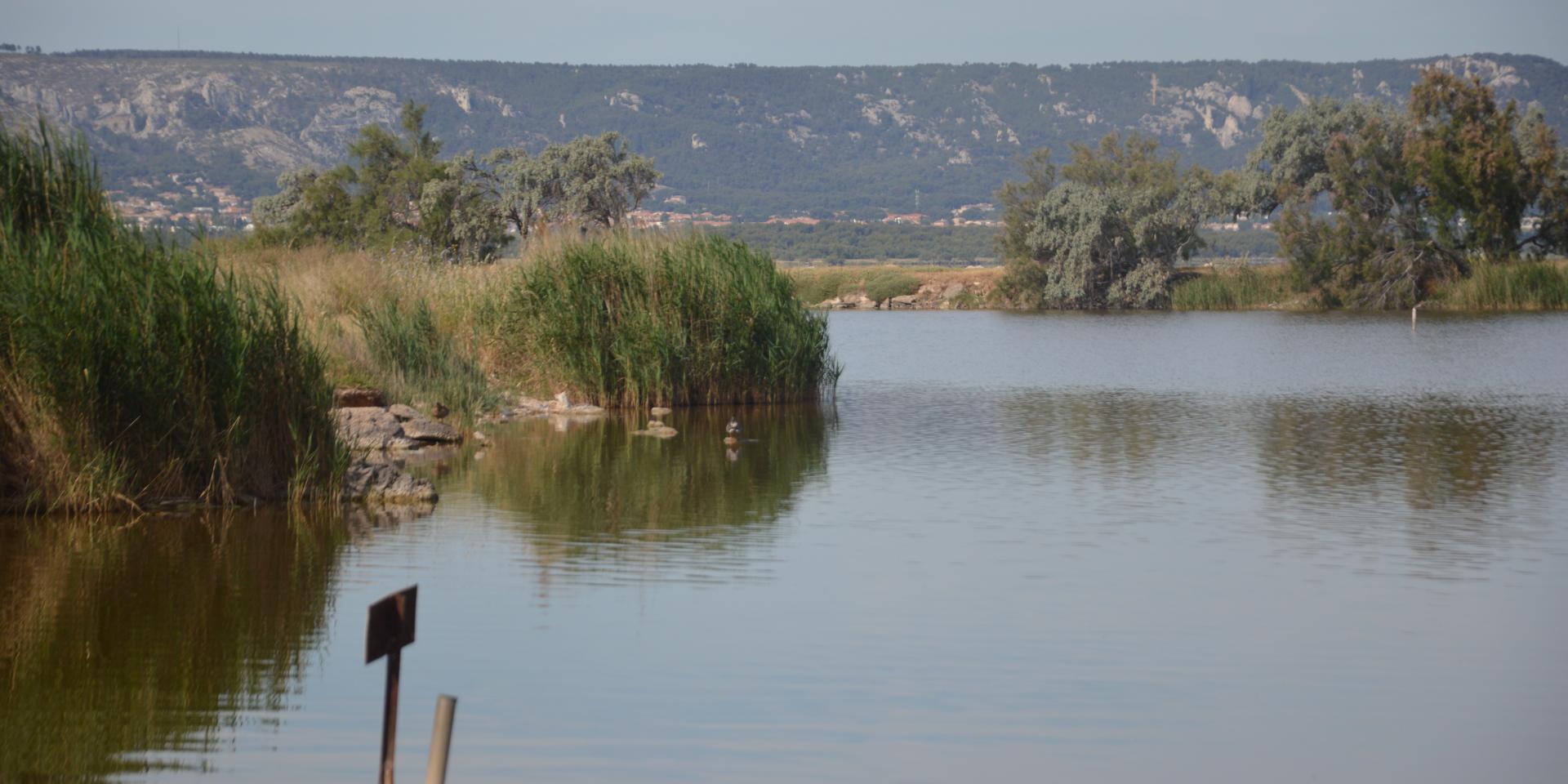 Dsc 0905