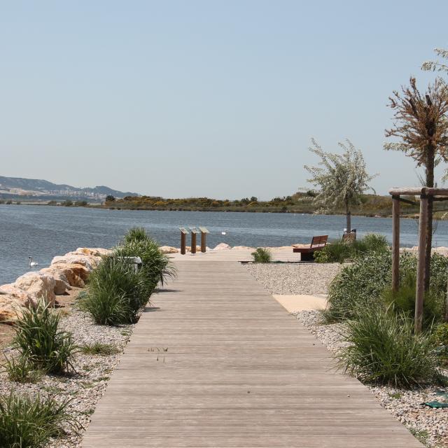 Img 0723