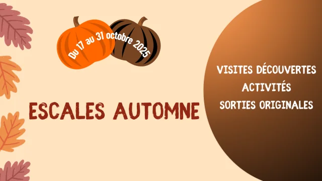 Bandeau Pour Page Accueil Site Internet 1640x924 1