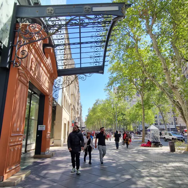 Bibliothèque de l'Alcazzar