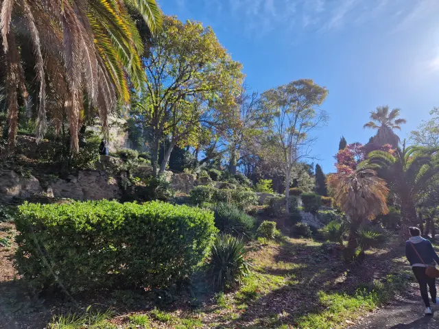 Végétation dans le Parc Valmer