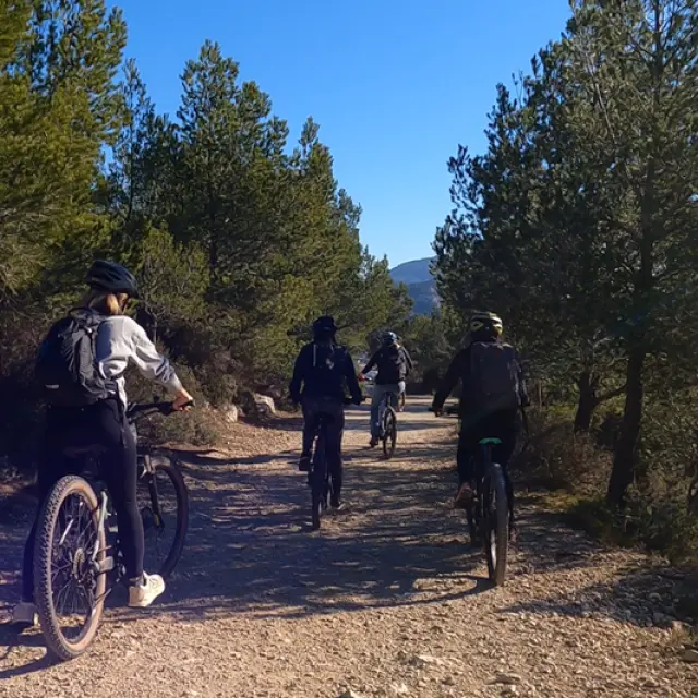 Groupe à vélo dans les calanques