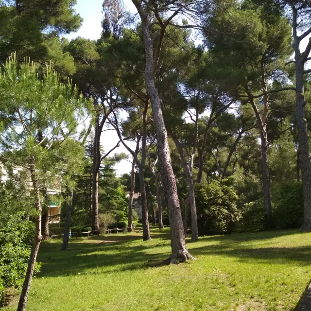 Parc du Roy d'espagne
