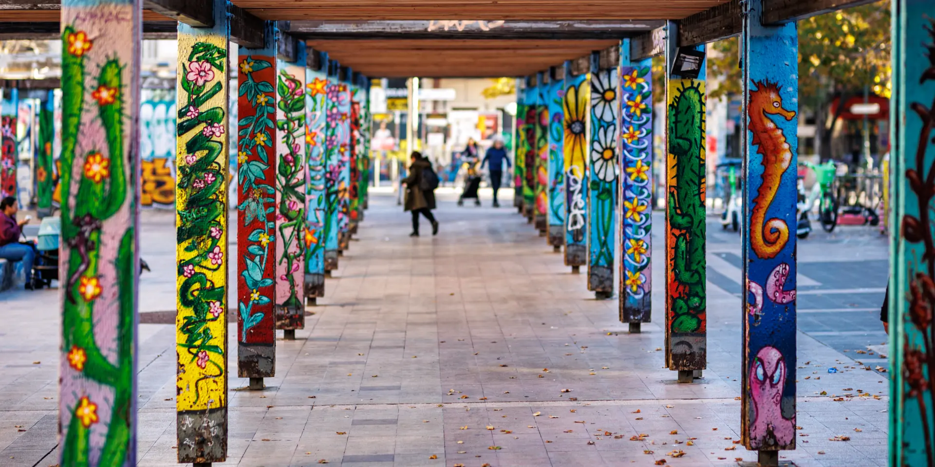 La Plainemassimomenucci 7